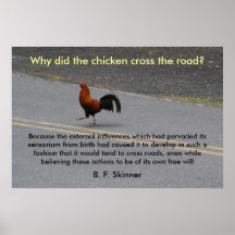 Warum kreuzte das Huhn? - Plakat
