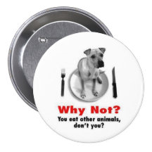 Warum nicht? anstecknadelbutton