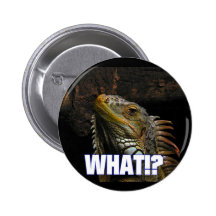 Was!? Leguan Anstecknadelbuttons