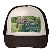 Waschbär, chillin mögen einen Schuft Retrokultkappen