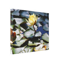 Wasser-Garten eingewickelte Leinwand Galerie Gefaltete Leinwand