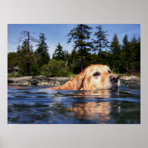 Wasser-Hund - Kunst-Drucke Posterdruck