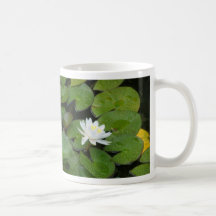 Wasser-Lilie Kaffeehaferl