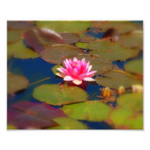 "Wasser-Lilien " Kunstfoto