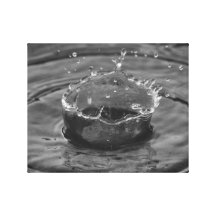 Wasser-Tropfen Leinwand Drucke