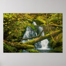 Wasserfall auf Sonnenschein-Bergwerk-Spur Posterdruck