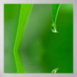 Wassertropfen Plakat