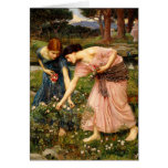 Waterhouse-Versammlungs-YE-Rosenknospe-Anmerkungs-