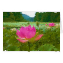 waterlillies grußkarte