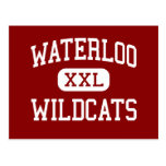 Waterloo - Wildkatzen - Mitte - Stockton Kaliforni Postkarte