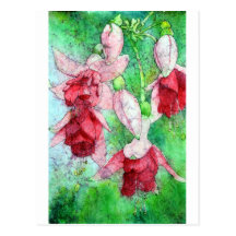Wax Fushia - 1.jpg Post Cards
