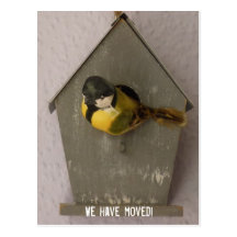 We have moved! - postcard (Birdhouse) Postkarte