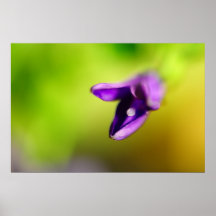 Wecken Plakat