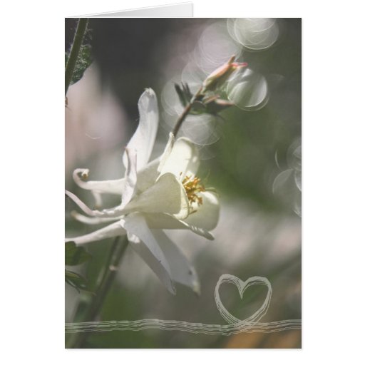Wedding-Love Grußkarten