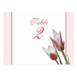 Wedding Tischnummerkarte der Tulpe Postkarte