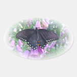 Weiblicher Spicebush Frack-Schmetterling Ovale Aufkleber