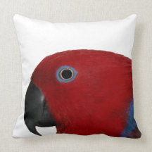 Weibliches Eclectus Wurfs-Kissen