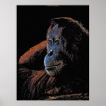 Weibliches Orang-Utan Menschenaffe-Tier-Kunst-Plak Poster