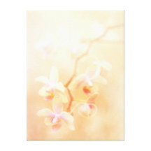 Weich u. verblaßte Orchideen eingewickelte Leinwan Galerie Gefaltete Leinwand