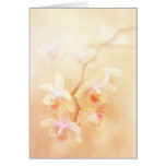 Weich verblaßte Orchideen Grußkarten