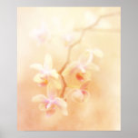 Weich verblaßtes Orchideen-Plakat