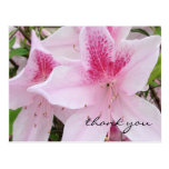 Weiche rosa Azaleen - danke Postkarte
