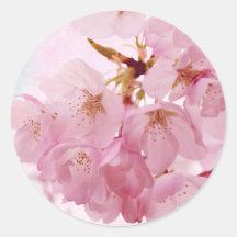 Weiche Vintage rosa Kirschblüten Sticker