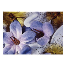 Weiche violette Blumen Individuelle Ankündigungen