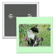 "Weichling-" schwarze u. weiße Katze Anstecknadelbutton