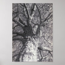 Weide Plakate