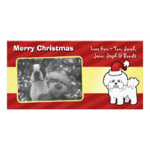 Weihnachten Bichon Frise Bildkarten