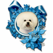 Weihnachten - blaue Schneeflocke - Bichon Frise Photo Figur