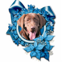 Weihnachten - blaue Schneeflocke - Labrador - Scho Photoskulpturen