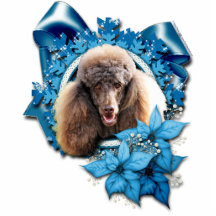 Weihnachten - blaue Schneeflocke - Pudel - Schokol Photoausschnitt