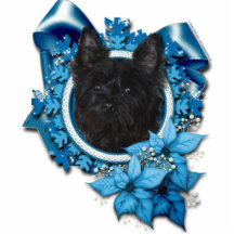 Weihnachten - blaue Schneeflocke - Steinhaufen Ter Photo Figur