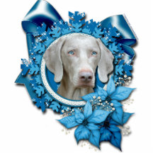 Weihnachten - blaue Schneeflocke - Weimeraner - bl Photo Figur