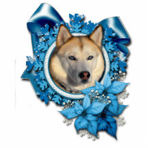 Weihnachten - blaue Schneeflocken - sibirischer Hu Photo Skulptur
