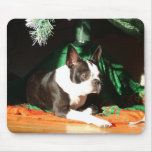 Weihnachten Bostons Terrier Mousepads