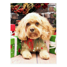 Weihnachten - Cockapoo - Morgan Postkarte