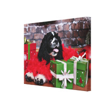 Weihnachten - Cocker spaniel - Maggie Galerie Faltleinwand