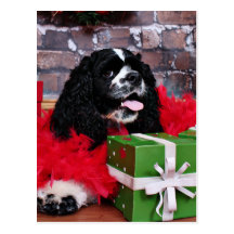 Weihnachten - Cocker spaniel - Maggie Postkarte