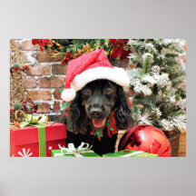 Weihnachten - Cocker spaniel X - Pfeffer Plakate