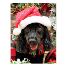 Weihnachten - Cocker spaniel X - Pfeffer Postkarten