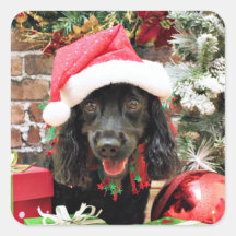 Weihnachten - Cocker spaniel X - Pfeffer Sticker