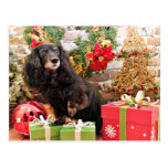 Weihnachten - Dackel - Zoey Postkarte
