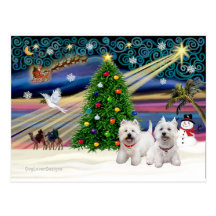 Weihnachten MAGIC-WestiePAIR5and8 Postkarte