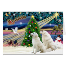 Weihnachten magisches Kuvasz (zwei) Karte