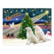 Weihnachten magisches Kuvasz (zwei) Postkarten