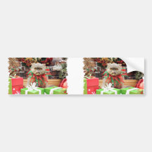 Weihnachten - persische Katze - Morrison Auto Aufkleber