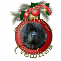 Weihnachten - Plattform die Hallen - Newfie Fotoausschnitt